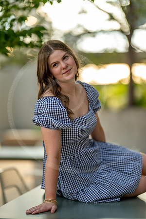 _LFX8458