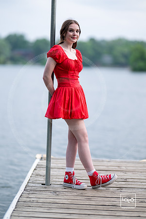 _LFX3413