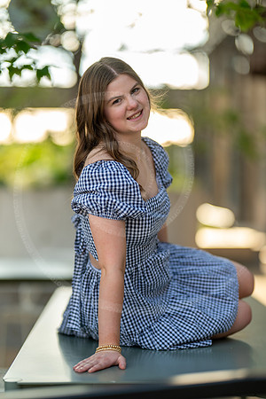 _LFX8453