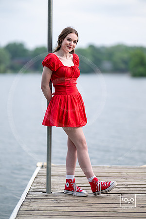 _LFX3411