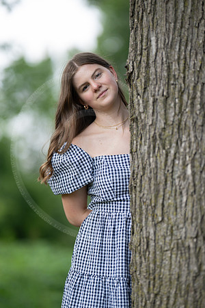 _LFX8554