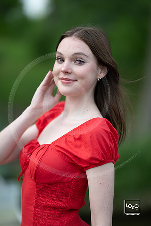 _LFX3454
