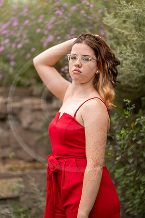 _LFX5681