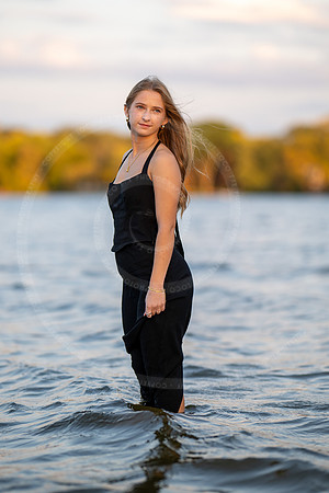 _LFX2729