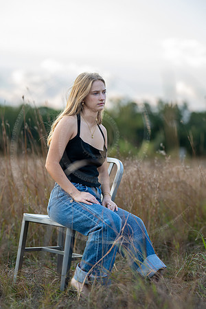 _LFX2795