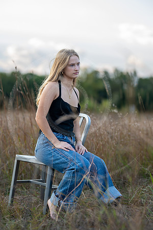 _LFX2794