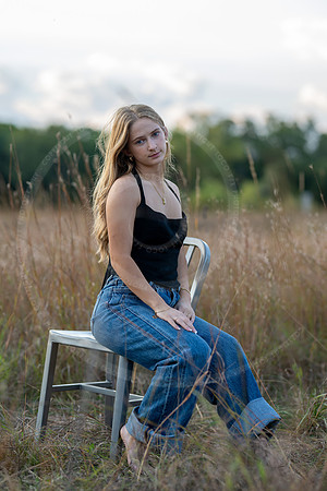 _LFX2790