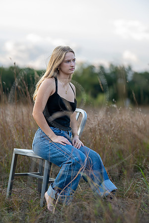_LFX2793