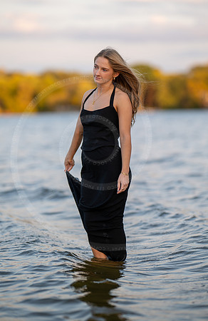 _LFX2722