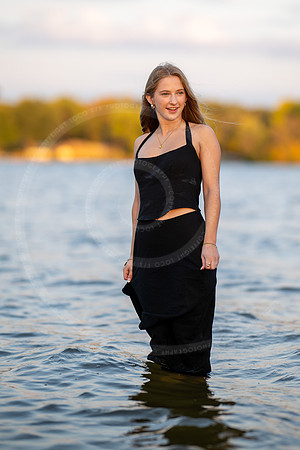 _LFX2733