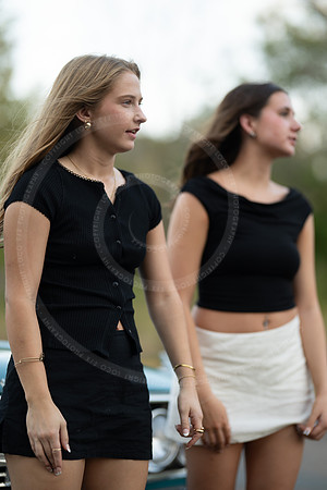 _LFX2667