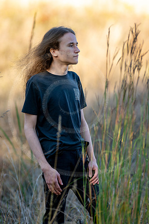 _LFX3227