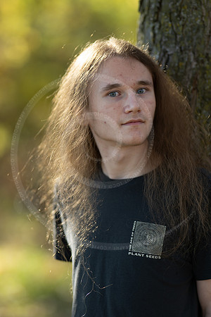 _LFX3144