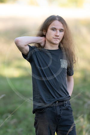 _LFX3178
