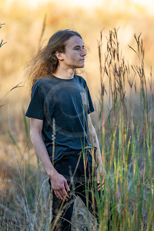 _LFX3226