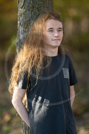 _LFX3153