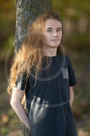 _LFX3152
