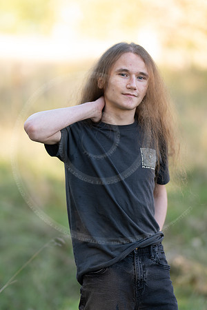 _LFX3184