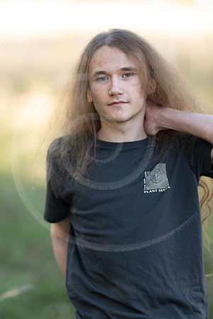 _LFX3190