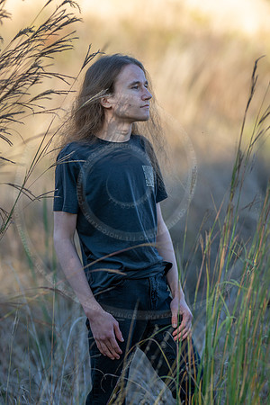 _LFX3219