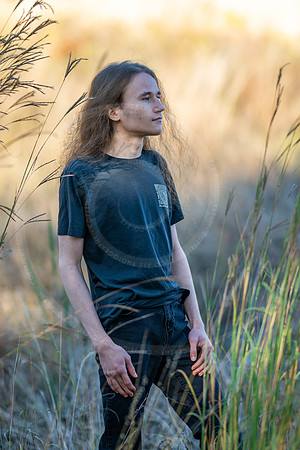 _LFX3221