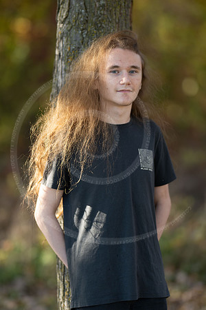 _LFX3156