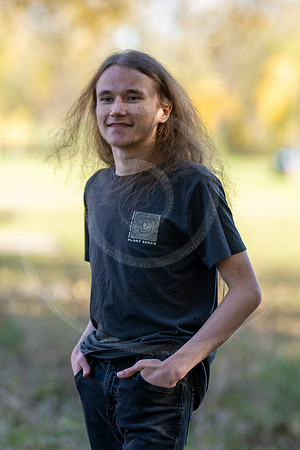 _LFX3208