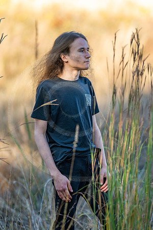 _LFX3222