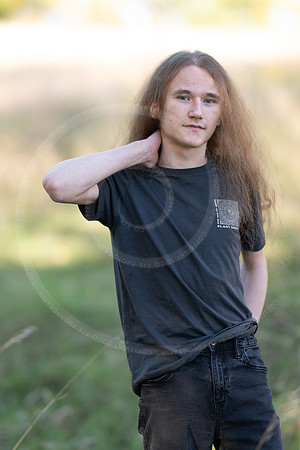 _LFX3183