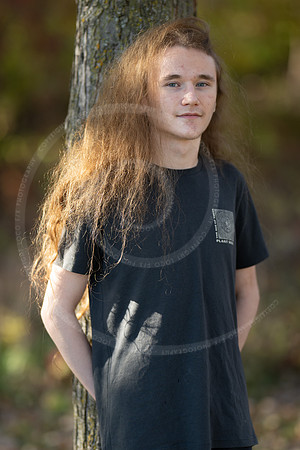 _LFX3154