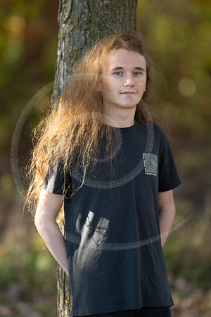 _LFX3155