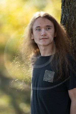 _LFX3141