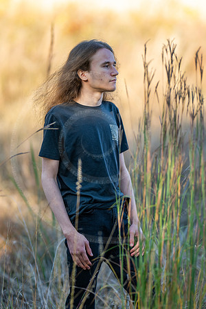 _LFX3223