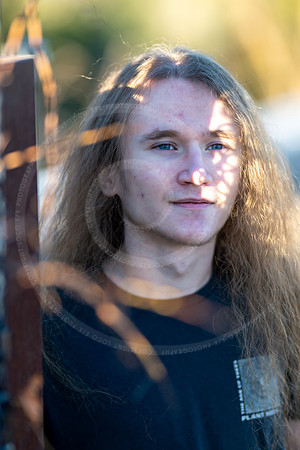 _LFX3293