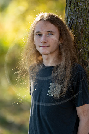 _LFX3132