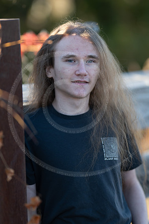 _LFX3279