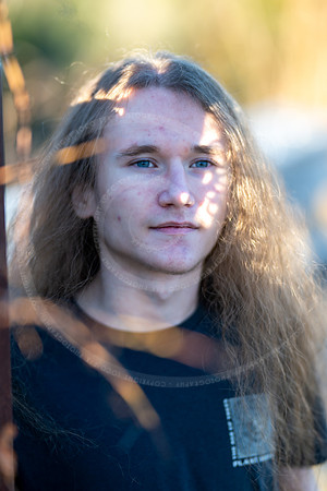 _LFX3292
