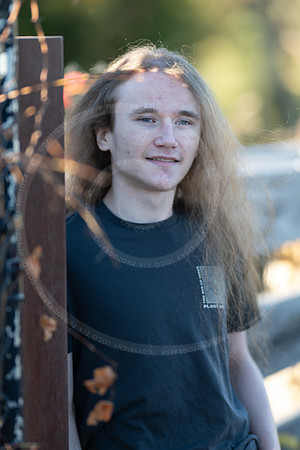 _LFX3284