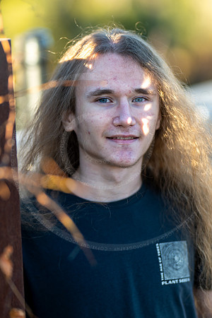 _LFX3290