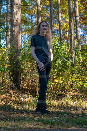 _LFX3253