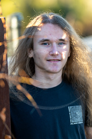 _LFX3291