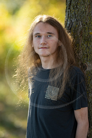 _LFX3135