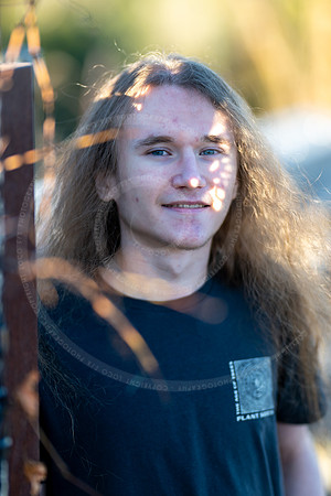 _LFX3294