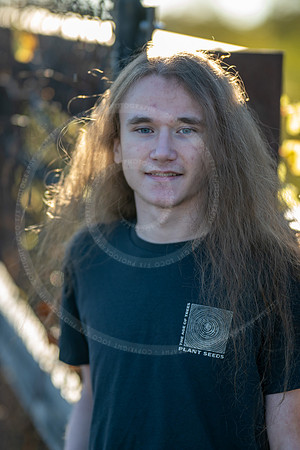 _LFX3296