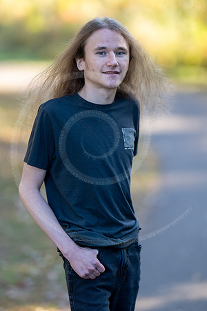 _LFX3271