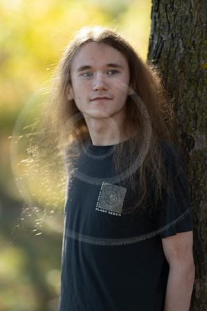 _LFX3139