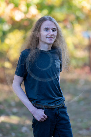_LFX3267