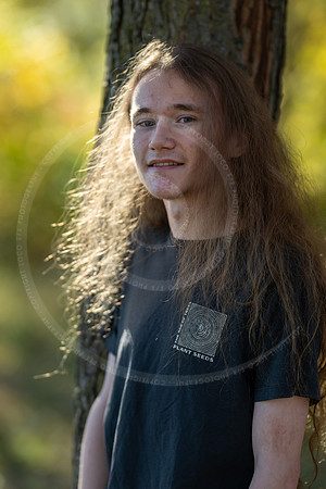 _LFX3089