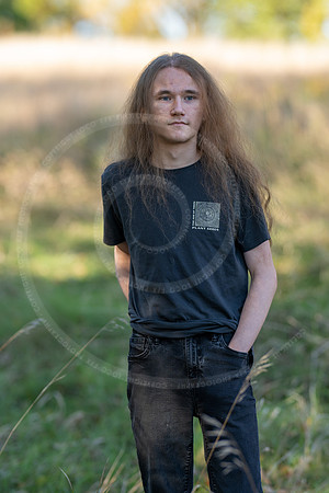 _LFX3164