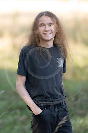 _LFX3171
